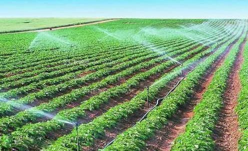 肉棒艹逼视频播放器农田高 效节水灌溉
